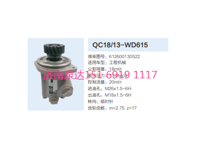 QC18/13-WD615,動力轉(zhuǎn)向齒輪泵,濟南泉達汽配有限公司