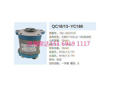 QC18/13-YC186,動(dòng)力轉(zhuǎn)向齒輪泵,濟(jì)南泉達(dá)汽配有限公司