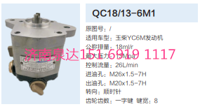 QC18/13-6M1,動力轉(zhuǎn)向齒輪泵,濟(jì)南泉達(dá)汽配有限公司