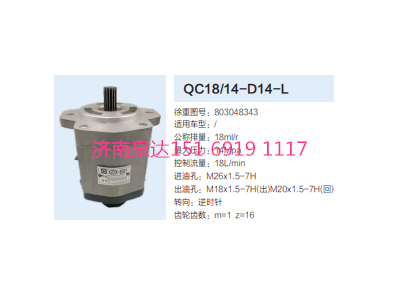 QC18/14-D14L,動(dòng)力轉(zhuǎn)向齒輪泵,濟(jì)南泉達(dá)汽配有限公司