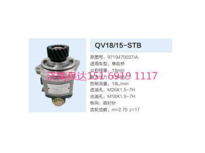 QC18/15-STD,動(dòng)力轉(zhuǎn)向齒輪泵,濟(jì)南泉達(dá)汽配有限公司