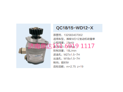 QC18/15-WD12-X,動力轉(zhuǎn)向齒輪泵,濟南泉達汽配有限公司