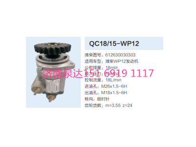 QC18/15-WP12,動(dòng)力轉(zhuǎn)向齒輪泵,濟(jì)南泉達(dá)汽配有限公司