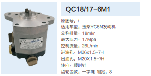 QC18/17-6M1,動(dòng)力轉(zhuǎn)向齒輪泵,濟(jì)南泉達(dá)汽配有限公司