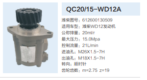 QC20/15-WD12A,齒輪泵,濟(jì)南泉達(dá)汽配有限公司