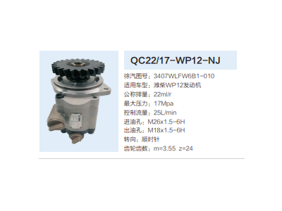 3407WLFW6B1-010,轉向助力泵,濟南泉達汽配有限公司