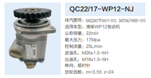 QC22/17-WP12-NJ,轉(zhuǎn)向助力泵,濟(jì)南泉達(dá)汽配有限公司