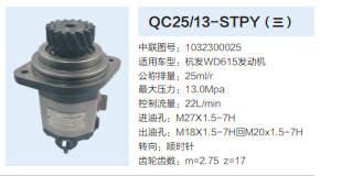 QC25/13-STPY,轉(zhuǎn)向助力泵,濟(jì)南泉達(dá)汽配有限公司