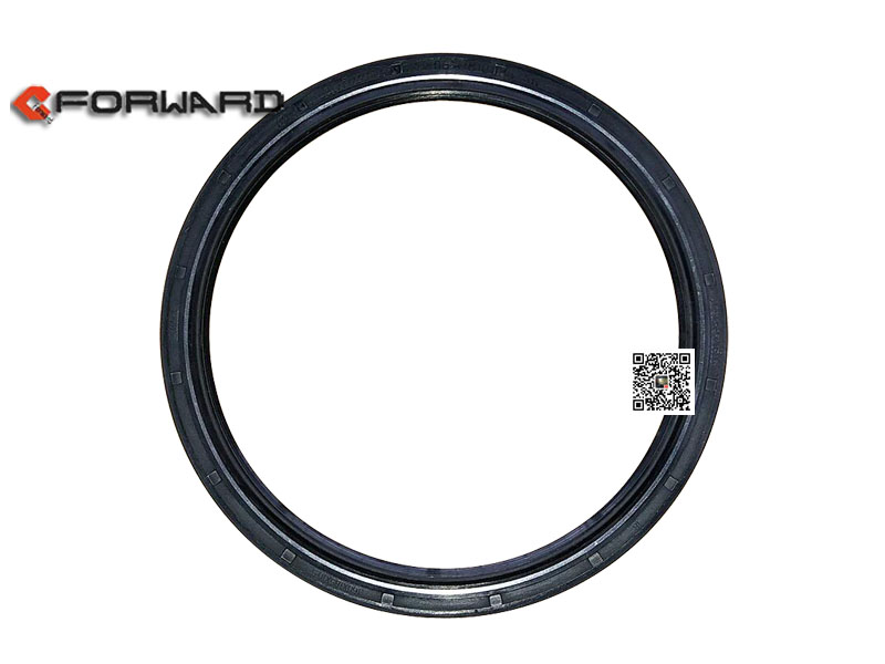 DZ91259520506,Shaft seal ring (balance shaft),濟(jì)南向前汽車配件有限公司