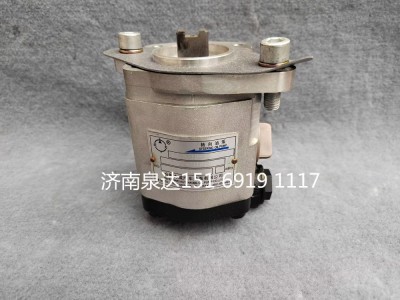 QC25/19-A3008,轉(zhuǎn)向助力泵,濟(jì)南泉達(dá)汽配有限公司