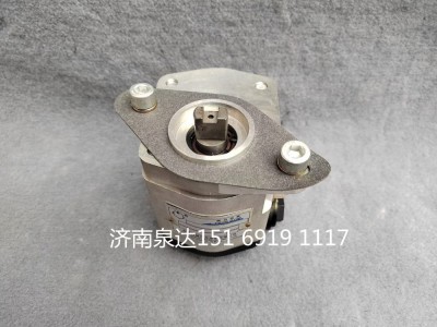 QC25/19-A3008,轉(zhuǎn)向助力泵,濟(jì)南泉達(dá)汽配有限公司