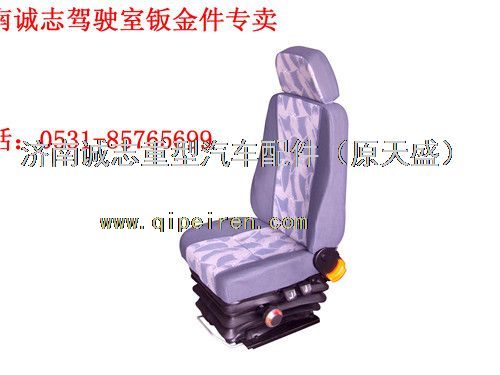 DZ13241510010,,濟(jì)南誠(chéng)志重型汽車駕駛室鈑金件專賣