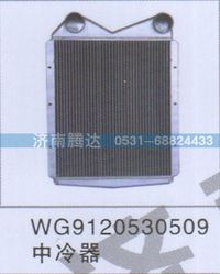 WG9120530509,WG9120530509中冷器,濟(jì)南錦陽(yáng)汽配有限公司（原騰達(dá)）