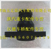 陜汽德龍車下啟動開關(guān)