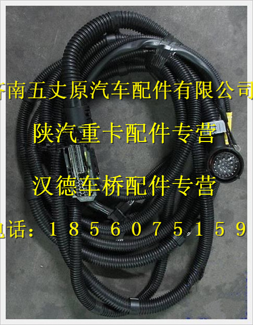 陜汽德龍發(fā)動(dòng)機(jī)底盤電線束/DZ93319774562